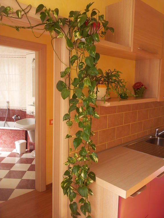 Bed & Breakfast Thousand Colors 2*
